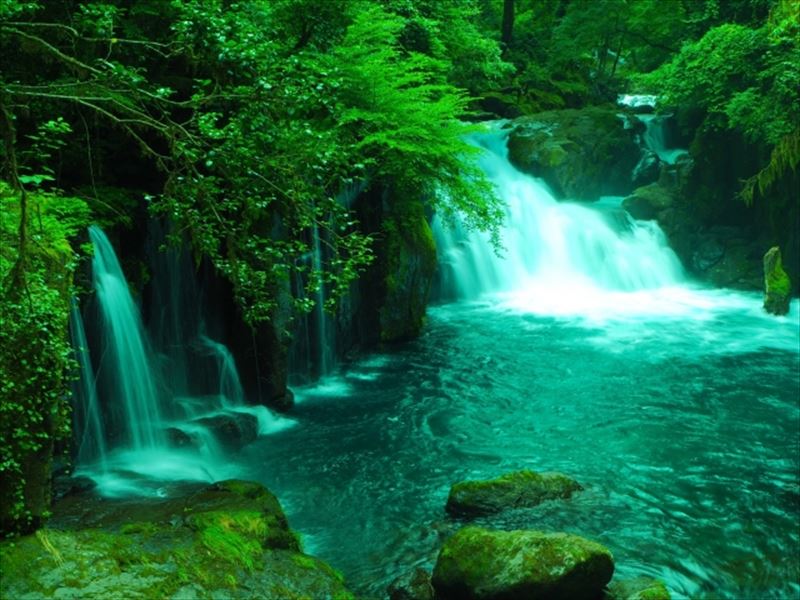 奇跡の水、世界三大霊水、聖水、魔法の水、名水百選とか、水は奥が深い。